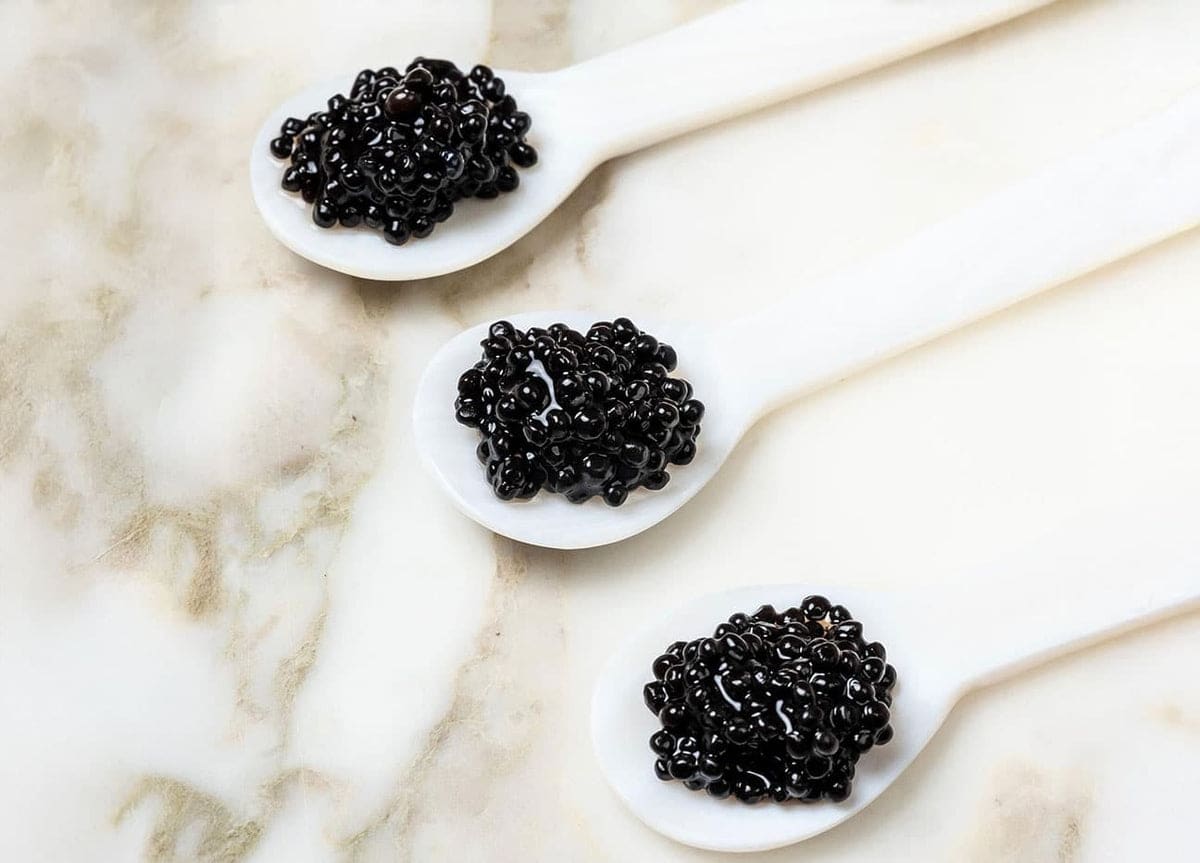 Plant-based Caviar - Wholesale